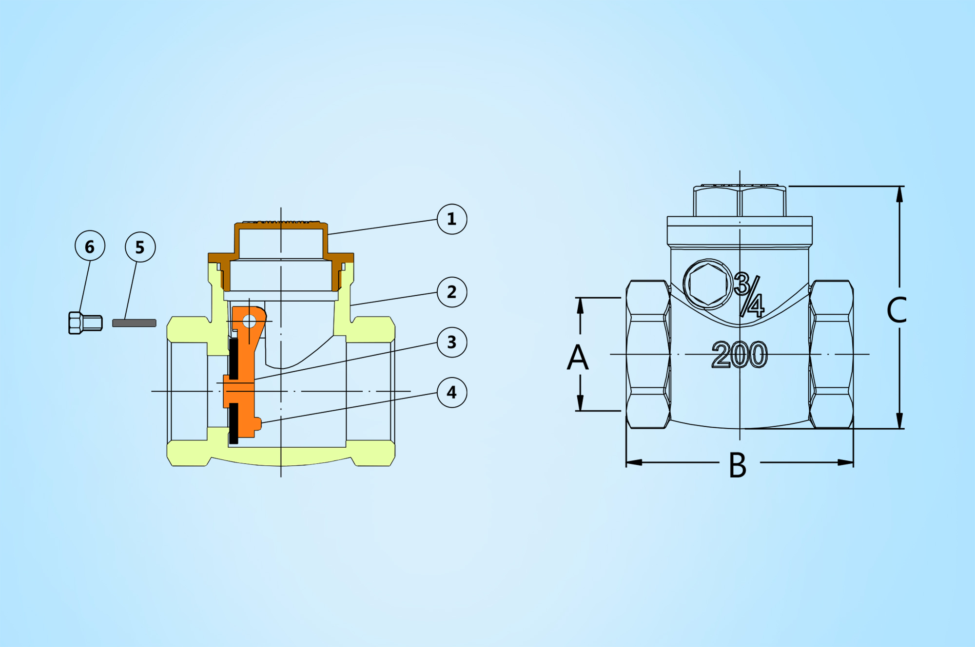 Check Valve