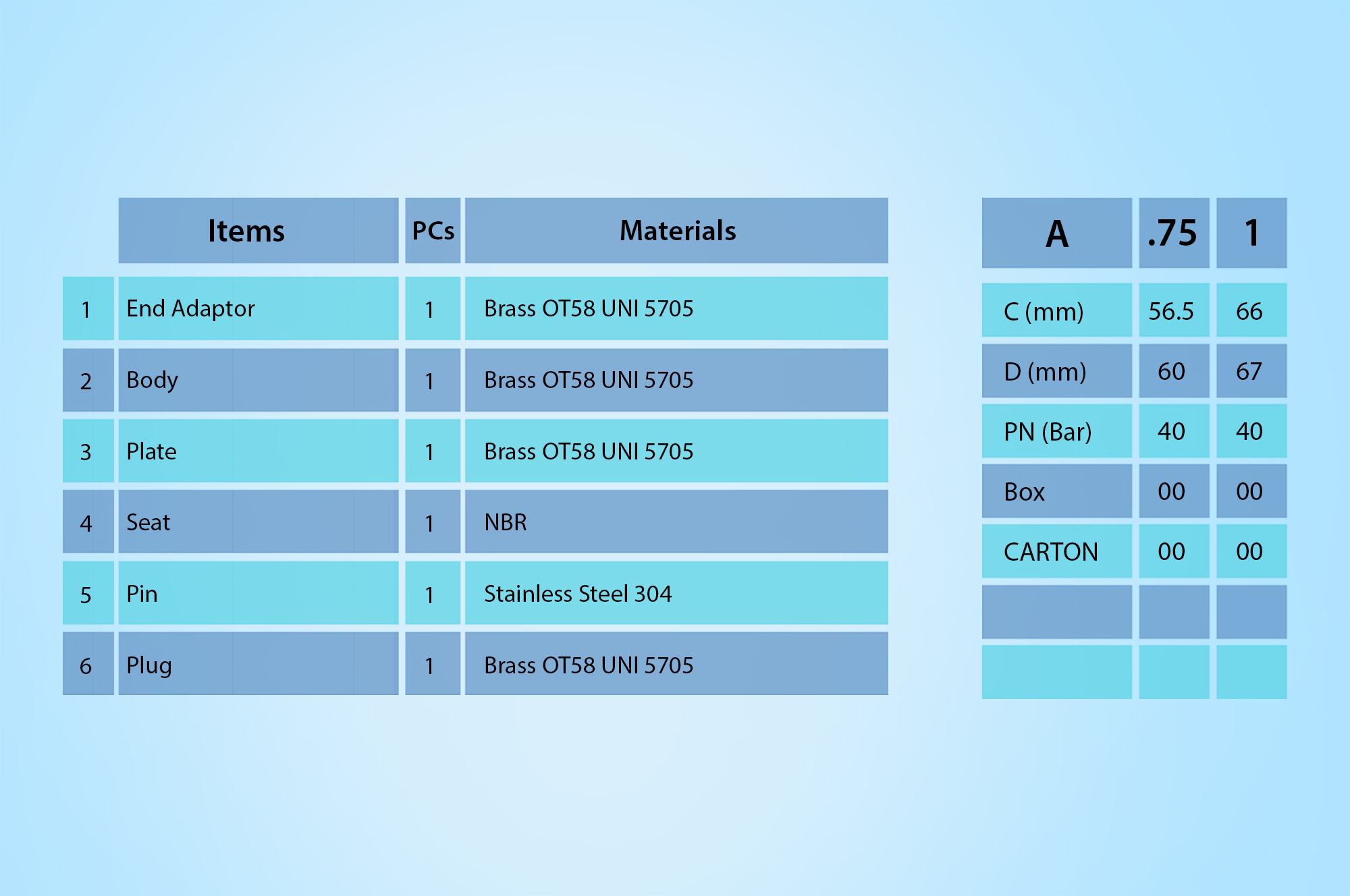 Check Valve